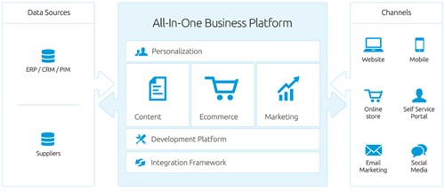 All-In-One Business Platform
